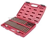 Набор бит 1/2" 3/8" HEX, TORX, SPLINE, RIBE 58 пр.